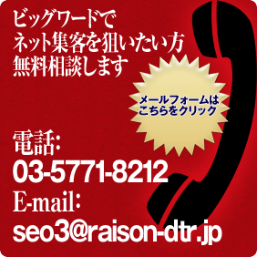 SEO対策にお悩みの方は、まずはお気軽にご相談ください。電話：03-5771-8212 E-mail：seo@raison-dtr.jp